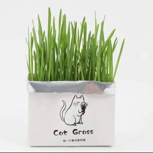 تصویر ـ 1ـ علف گربه مدل گرین گرس (Cat Grass)